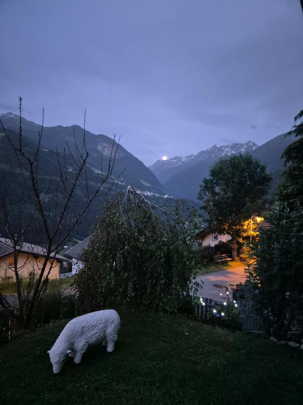 Ferienwohnung Witting Wenns Buitenkant foto
